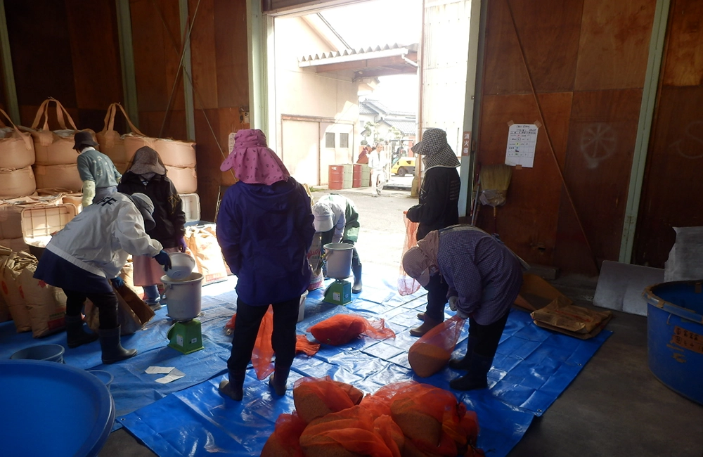 播種の準備作業