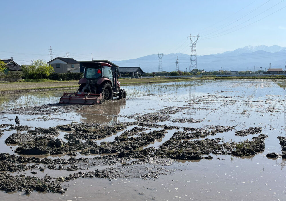 荒くり作業