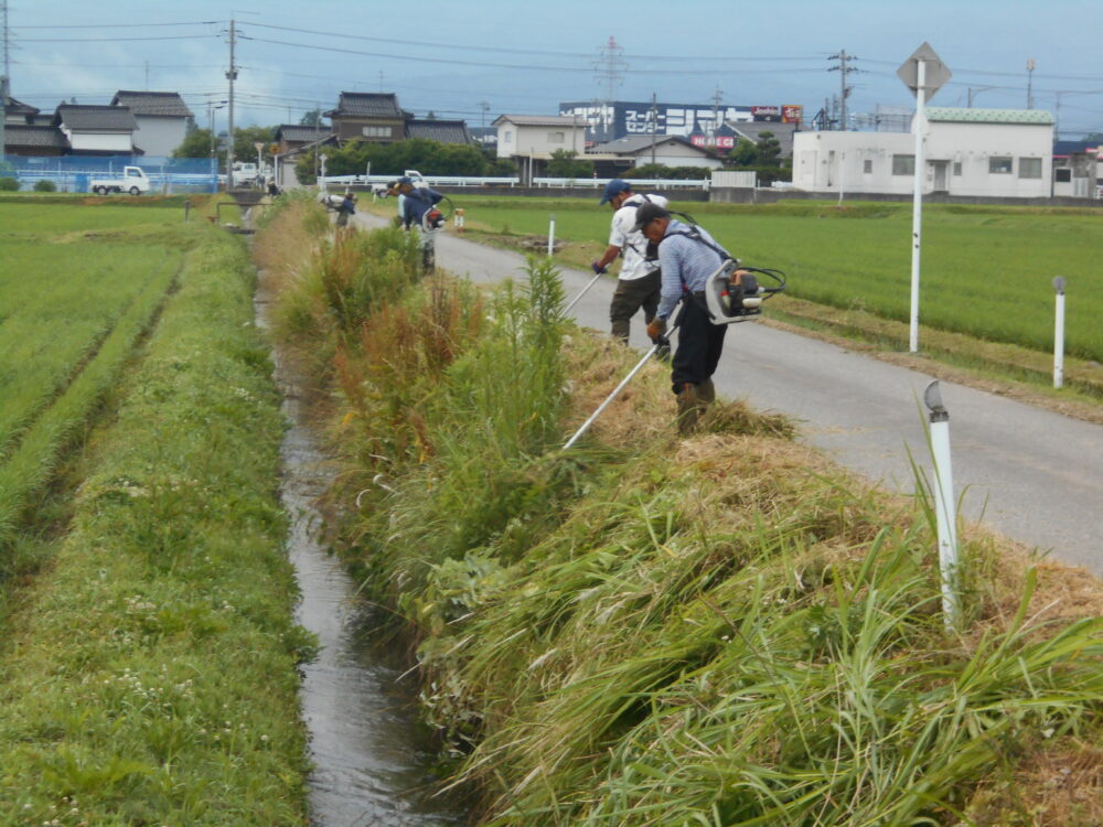 草刈り